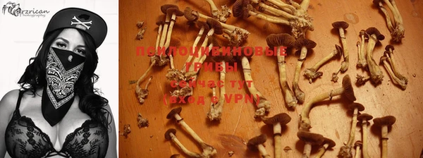 эйфоретик Беломорск